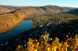 Angebot Herbst 3