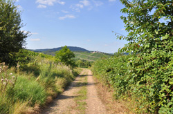 Angebot Wandern 3