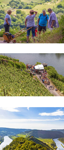 Wander mosel, moselsteig unterkunft, Zell mosel, fahrrad unterkunft mosel