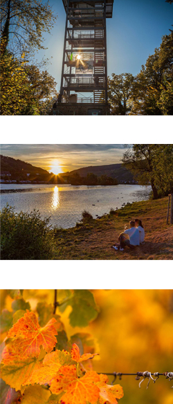 goldener herbst zell mosel, urlaub mosel oktober, urlaub mosel september, Urlaub Mosel Herbst Hotel