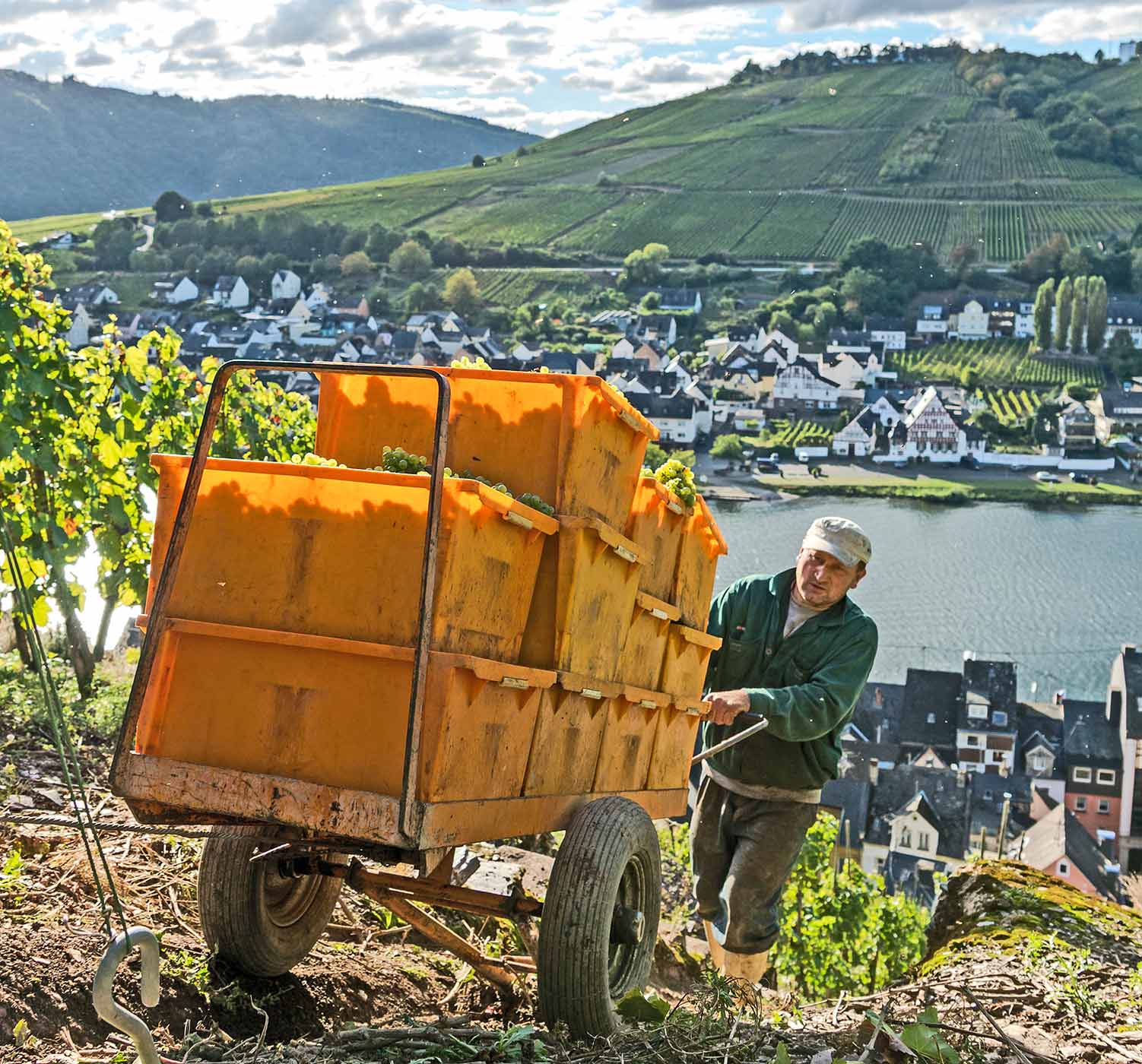 Hotel Zum grünen Kranz Zell Mosel Weingut